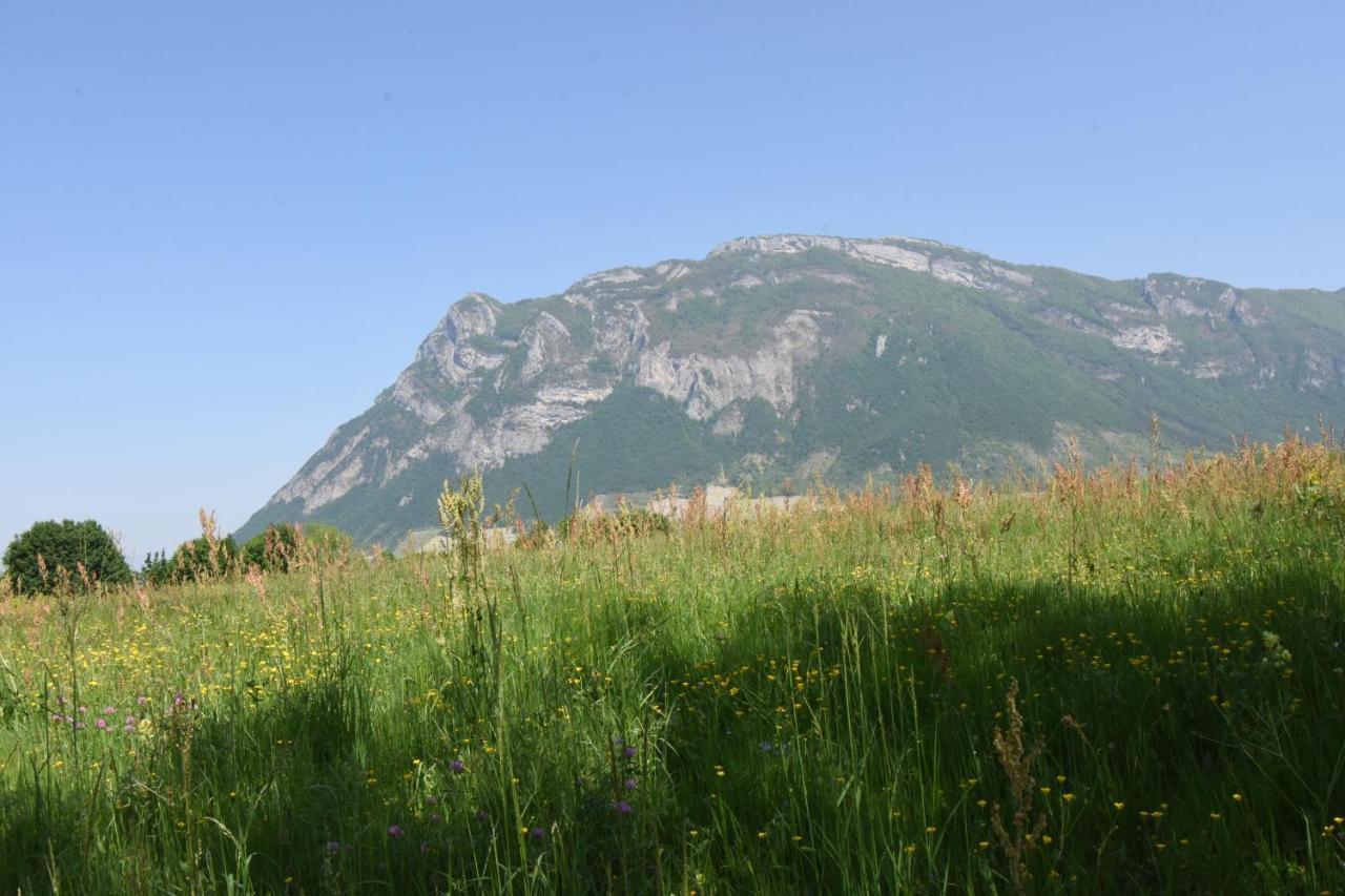 Gite Clair, Spacieux Et Cosy Avec Vue Sur Le Massif De La Chartreuse Sainte-Helene-du-Lac Exterior photo